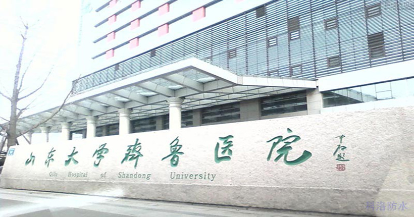 山东大学齐鲁医院