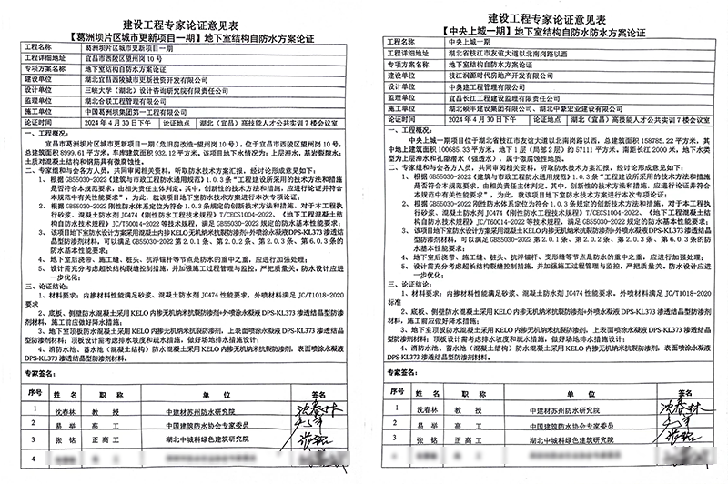 枝江中央上城项目和宜昌市葛洲坝片区城市更新-改