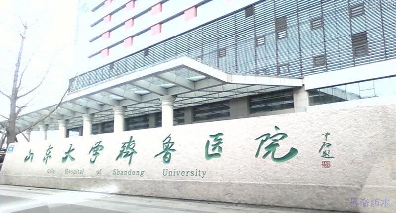 山东大学齐鲁医院1