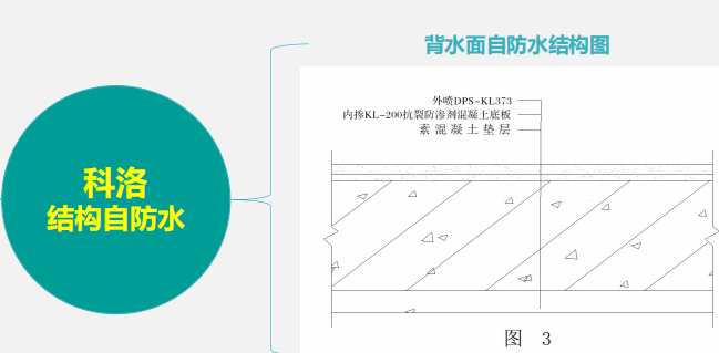 科洛开云平台官网入口网页版